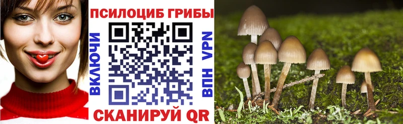 Галлюциногенные грибы GOLDEN TEACHER Макарьев